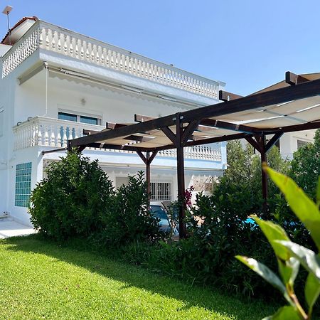 Villa Vave ネア・イラクリア エクステリア 写真